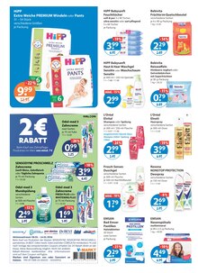 Pampers im V-Markt Prospekt "V-Markt einfach besser einkaufen" mit 26 Seiten (Augsburg)