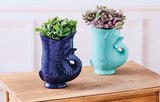 Plantes vertes - Super U à Quimper Plantes vertes en promo chez Super U Quimper à 7,99 €