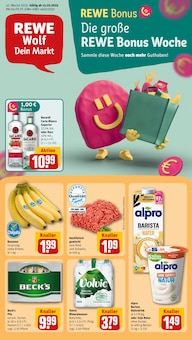 REWE Michelau Prospekt der aktuellen Woche, gültig von 13.10.2025 bis 18.10.2025 Aktueller REWE Michelau Prospekt "Dein Markt" mit 30 Seiten