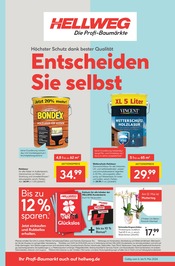 Ähnliche Angebote wie Kniekissen im Prospekt "Die Profi-Baumärkte" auf Seite 1 von Hellweg in Gelsenkirchen