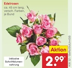 Angebot im Netto Marken-Discount Dohna Prospekt Netto Marken-Discount Dohna Prospekt mit im Angebot für 2,99 €