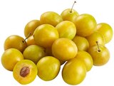 Mirabellen im Angebot bei REWE in Schwäbisch Hall Mirabellen Angebote von REWE Regional bei REWE Schwäbisch Hall für 1,99 €