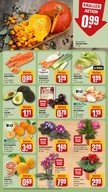 Aktueller REWE Prospekt mit Blumen, "Dein Markt", Seite 7