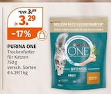 Trockenfutter für Katzen bei Müller im Celle Prospekt für 3,29 €