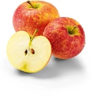 Bio Äpfel im Angebot bei Netto Marken-Discount in Pforzheim Bio Äpfel Angebote von BioBio bei Netto Marken-Discount Pforzheim für 2,49 €
