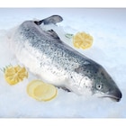 Saumon Atlantique entier ASC FILIERE QUALITE CARREFOUR - FILIERE QUALITE CARF - Carrefour à Quimper Saumon Atlantique entier ASC FILIERE QUALITE CARREFOUR - FILIERE QUALITE CARF en promo chez Carrefour Quimper à 9,99 €
