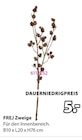 Aktuelle Kunstblumen Angebote bei JYSK in Duisburg Aktuelles FREJ Zweige Angebot bei JYSK in Duisburg ab 5,00 €