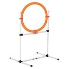 PawHut Hundetrainingsset orange Kunststoff für 21,99 € bei POCO im Angebot PawHut Hundetrainingsset orange Kunststoff im aktuellen POCO Prospekt