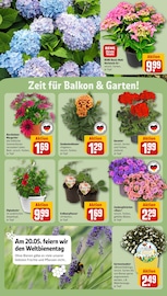 Ähnliche Bonsai Angebote im Prospekt "Dein Markt" von REWE in Herne Ähnliche Angebote wie Bonsai im Prospekt "Dein Markt" auf Seite 28 von REWE in Herne
