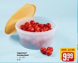 Everyday Bowl Angebote von Tupperware bei REWE Dachau für 9,99 €