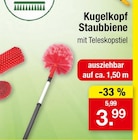 Kugelkopf Staubbiene im Angebot bei Zimmermann in Peine Kugelkopf Staubbiene Angebote bei Zimmermann Peine für 3,99 €