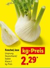 Aktuelles Fenchel, lose Angebot bei Lidl in Duisburg ab 2,29 €