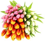 Großbund Tulpen XL im Angebot bei nahkauf in Weiden Großbund Tulpen XL Angebote bei nahkauf Weiden für 5,55 €