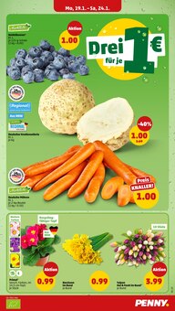 Tulpen im Penny Prospekt "Wer günstig will, muss Penny." mit 42 Seiten (Bergisch Gladbach)