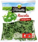 Rucola oder Mild & Würzig Angebote von Florette bei REWE Eberswalde für 1,79 €