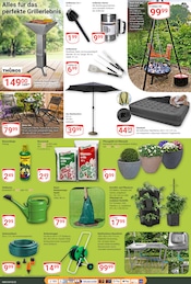 Aktueller GLOBUS Prospekt mit Kamin, "Aktuelle Angebote", Seite 23