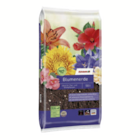 Blumenerde im Angebot bei toom Baumarkt in Gladbeck Blumenerde Angebote von toom bei toom Baumarkt Gladbeck für 9,99 €