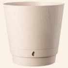 Promo Pot en plastique 15cm à 2,99 € dans le catalogue Intermarché à Sainte-Maure-de-Touraine
