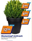 Blumentopf Anthrazit von  im aktuellen Action Prospekt für 2,44 €
