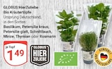 Aktuelle Pflanzen Angebote bei GLOBUS in Halle (Saale) Aktuelles Bio Kräutertopf Basilikum Angebot bei GLOBUS in Halle (Saale) ab 1,49 €