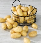 Pomme de terre de consommation - Super U à Saint-Herblain Pomme de terre de consommation en promo chez Super U Saint-Herblain à 1,99 €