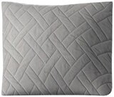 Deko-Kissen im Angebot bei Penny in Halle Deko-Kissen Angebote von HOME IDEAS bei Penny Halle für 4,99 €