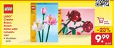Creator Rosen, Kirschblüten oder Lotusblumen Angebote von LEGO bei Netto Marken-Discount Eberswalde für 9,99 €