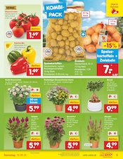 Mixer im Netto Marken-Discount Prospekt in Mühlhausen Aktueller Netto Marken-Discount Prospekt mit Mixer, "Aktuelle Angebote", Seite 5