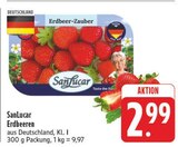Erdbeeren im Angebot bei E center in Zwickau Erdbeeren Angebote von SanLucar bei E center Zwickau für 2,99 €