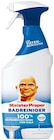 Bad- oder Allzweckreiniger von Meister Proper im aktuellen Netto mit dem Scottie Prospekt