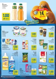 diska Pilze im Prospekt 