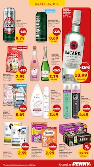 Katzenfutter im aktuellen Penny Prospekt (Potsdam) Katzenfutter im Penny Prospekt "Wer günstig will, muss Penny." mit 46 Seiten (Potsdam)