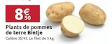 Promo Plants de pommes de terre Bintje à 8,50 € dans le catalogue LaMaison.fr à La Guerche-de-Bretagne