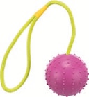 Outdoorspielzeug für Hunde im Das Futterhaus Prospekt Outdoorspielzeug für Hunde von Trixie im aktuellen Das Futterhaus Prospekt für 2,99 €