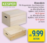 Allzweckkiste Angebote von KESPER bei diska Freiberg für 9,99 €