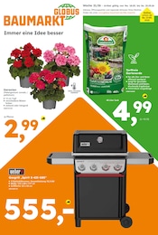 Globus-Baumarkt Prospekt mit 16 Seiten (Griebelschied)