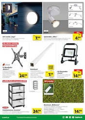 Aktueller Hagebaumarkt Prospekt mit Fernseher, "So günstig geht das!", Seite 13