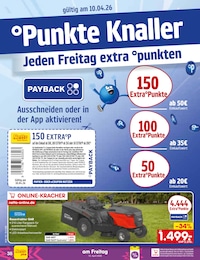 Netto Marken-Discount Handy im Prospekt 