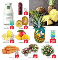 Bananen im Marktkauf Prospekt "Aktuelle Angebote" mit 47 Seiten (Ulm)