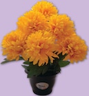 Pot Chrysanthemums 9 Tetes en promo à 7,99 € chez Netto Pot Chrysanthemums 9 Tetes dans le catalogue Netto