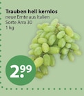 Trauben hell kernlos im aktuellen V-Markt Prospekt für 2,99 €
