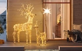 LED-Dekofigur „Rentier“ im Angebot bei Hagebaumarkt in Langenhagen LED-Dekofigur „Rentier“ Angebote bei Hagebaumarkt Langenhagen für 69,99 €