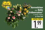 Hornveilchen im aktuellen EDEKA Prospekt für 1,99 €
