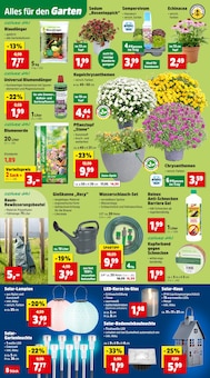 Kerzen im Thomas Philipps Prospekt "Top Angebote" mit 12 Seiten (Lübeck)