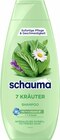Shampoo im Angebot bei E center in Böblingen Shampoo Angebote von Schauma bei E center Böblingen für 1,49 €