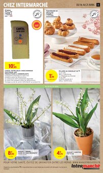 Promo Plante Verte dans le catalogue Intermarché du moment à la page 5