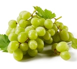 Lidl Sigean - Promo Raisin blanc Promo Raisin blanc à 1,97 € dans le catalogue Lidl à Sigean
