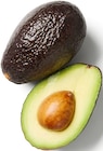 Avocat à Lidl dans Puy-Saint-Bonnet Avocat à Lidl dans Puy-Saint-Bonnet