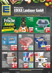 EDEKA Supermarkt Prospekt der aktuellen Woche mit 29 Seiten, gültig von 03.11.2025 bis 08.11.2025, in Seukendorf und Umgebung Aktueller EDEKA Supermarkt Prospekt in Seukendorf und Umgebung, "Wir lieben Lebensmittel!" mit 29 Seiten, 03.11.2025 - 08.11.2025