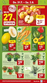 Ähnliche Stacheldrahtpflanze Angebote im Prospekt "Aktuelle Angebote" von ALDI Nord Ähnliches Angebot bei ALDI Nord in Prospekt "Aktuelle Angebote" gefunden auf Seite 27